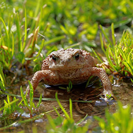 產(chǎn)品中心標題三(圖1)