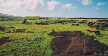 野生動(dòng)物入“?！碧峒?jí)后的因應(yīng)之策